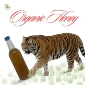 সুন্দরবনের চাকের মধু - Organic Honey