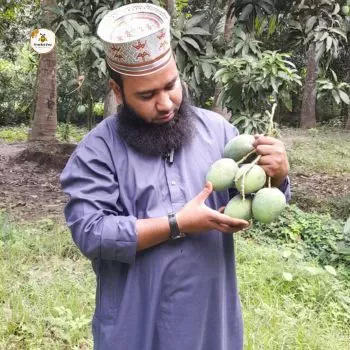 mango review