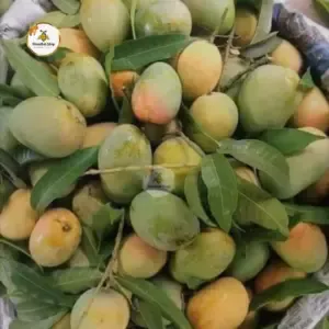 গোপালভোগ আম