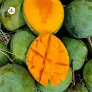 হিমসাগর আম